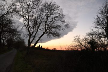 Arbre - Coucher de soleil à Pompiac