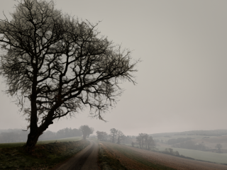 Lever du jour embrumé à Saint-Thomas